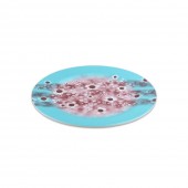 초밥접시 설화회전초밥접시 스카이(대)