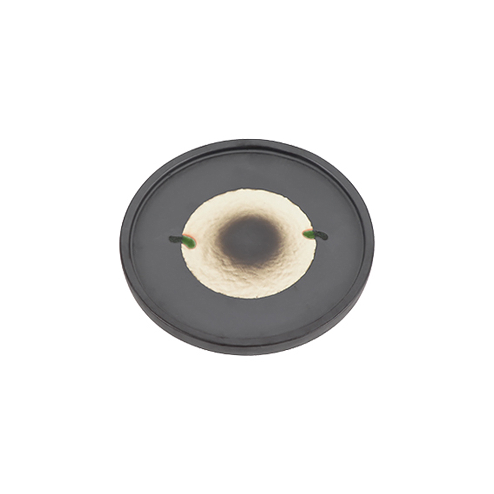 블랙펄 원판접시